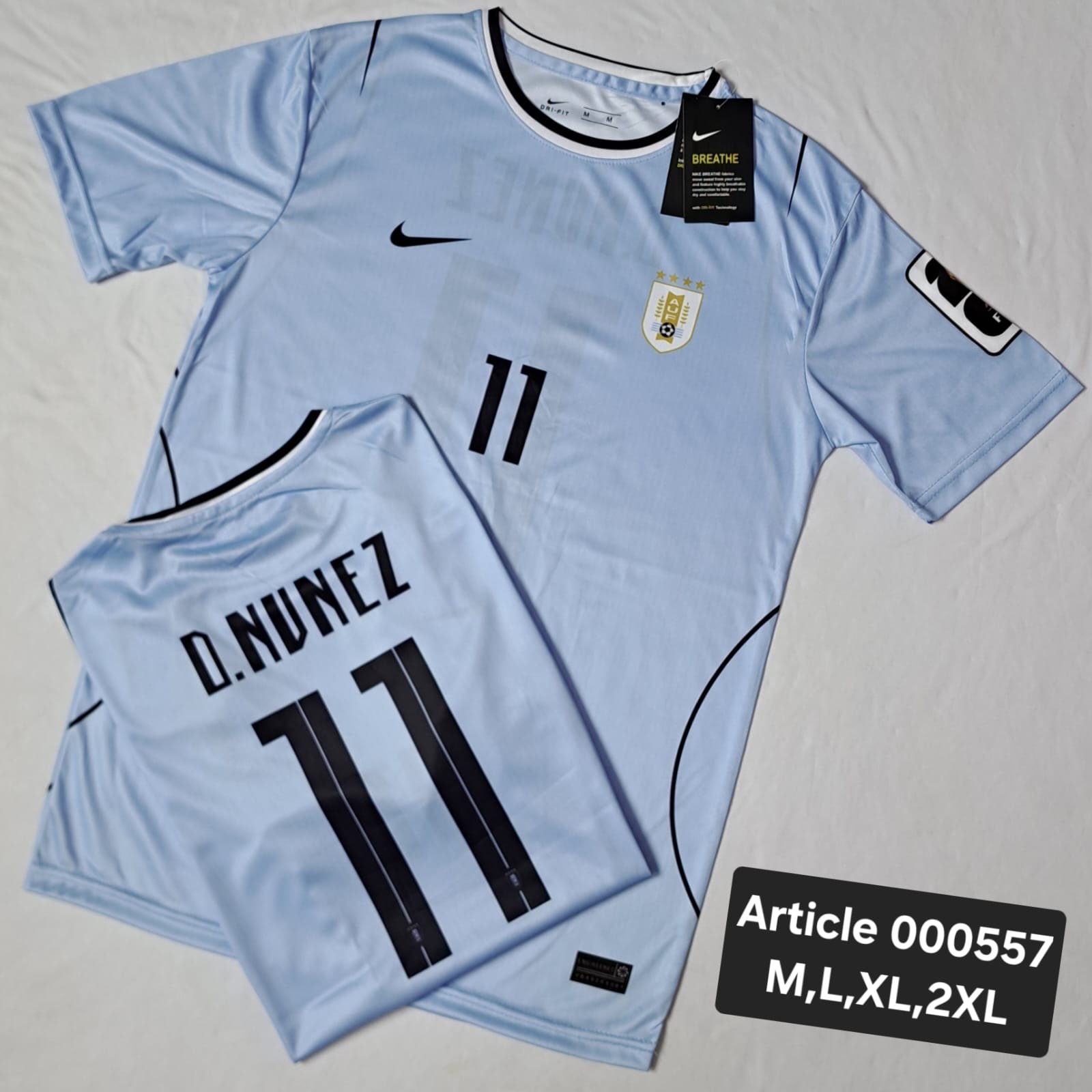 URUGUAY 2026 D.NUNZEZ 11 ICE BLUE 000557