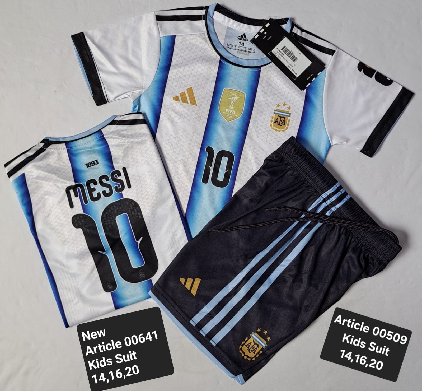 ARGINTINA HOME MESSI 10 00509